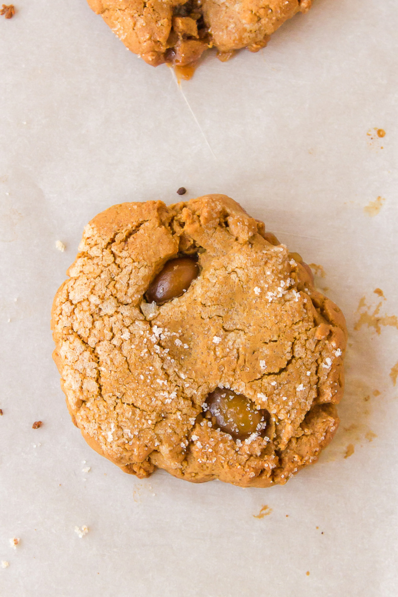 molasses cookie with sugar babies on baking sheet