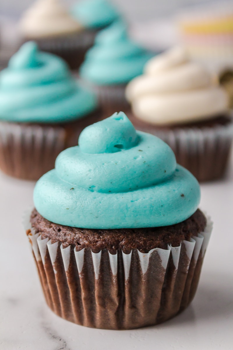 chocolate cupcake with blue icing