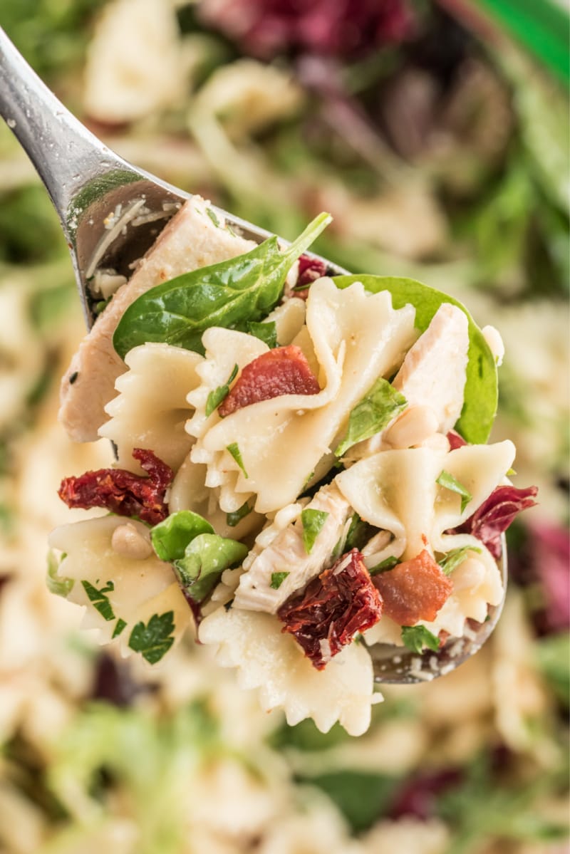 spoonful of chicken pasta salad