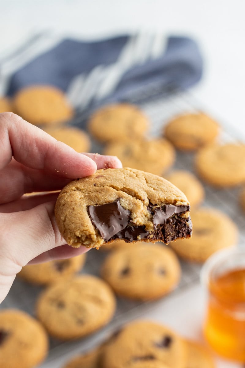 hand holding warm and gooey chocolate chunk cookie