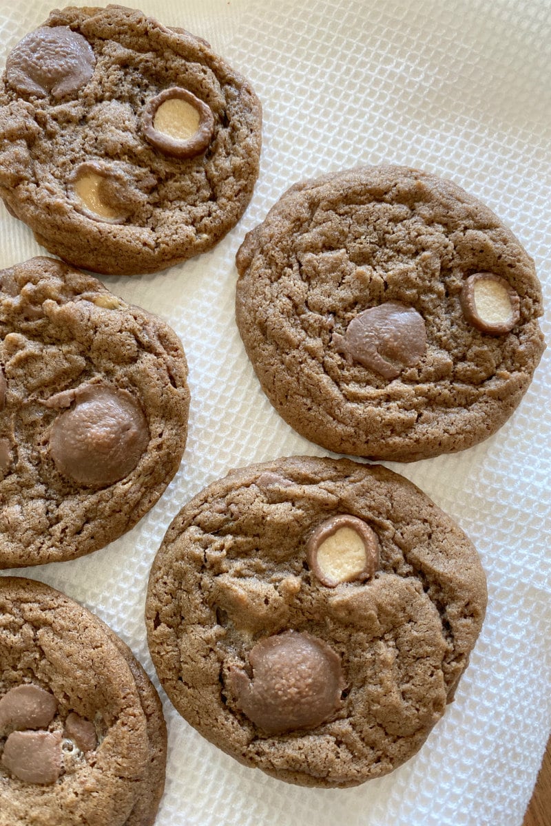 chocolate malt cookies cooling on towel