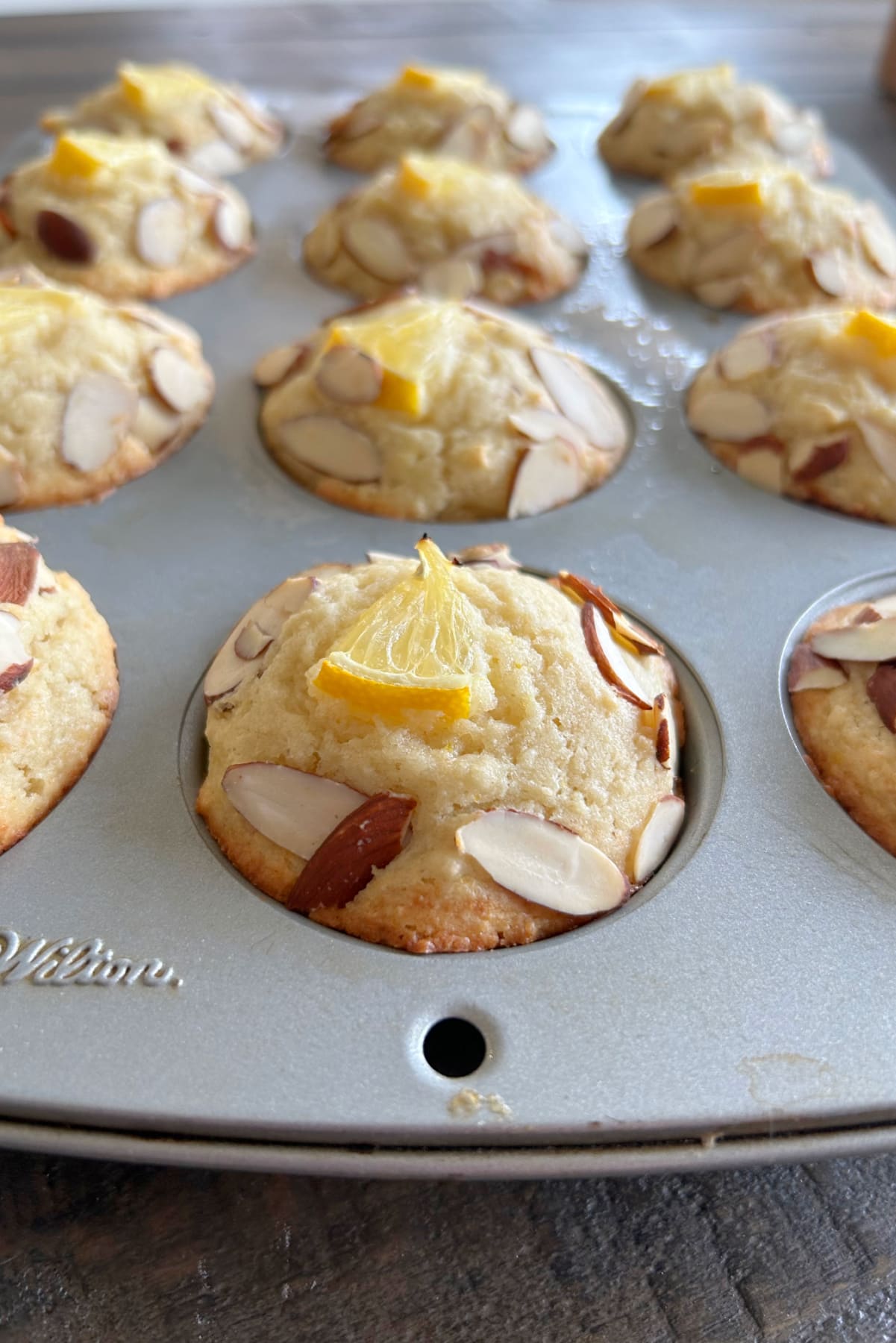 meyer lemon ricotta muffins in muffin tin