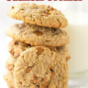 pinterest pin for spicy cinnamon oatmeal cookies