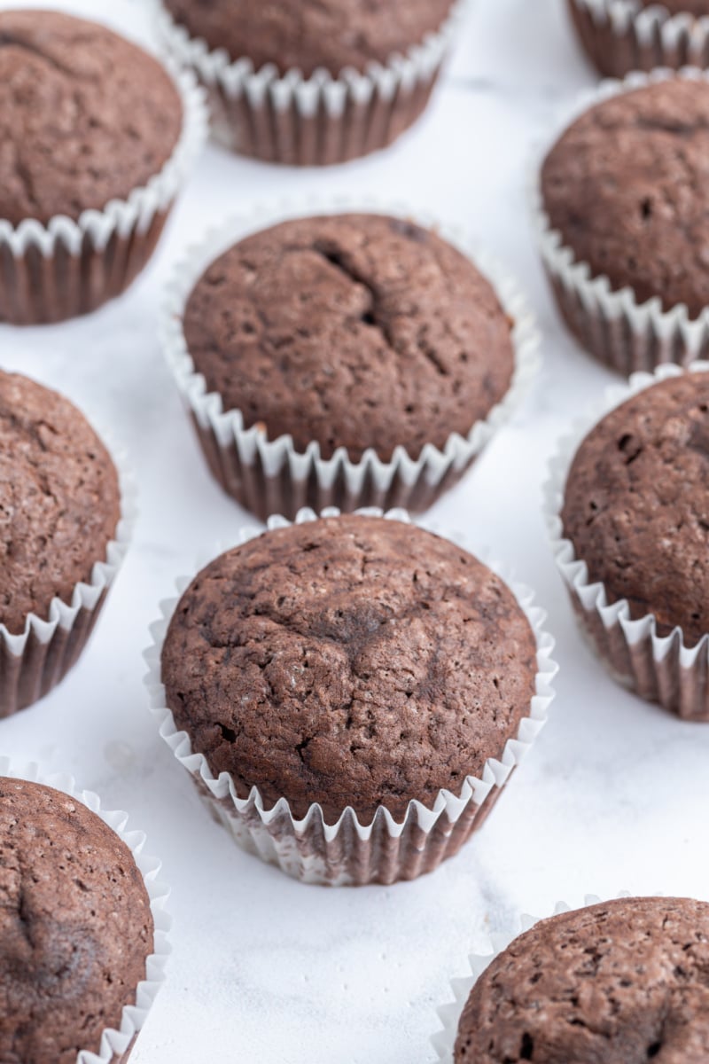 chocolate cupcakes unfrosted