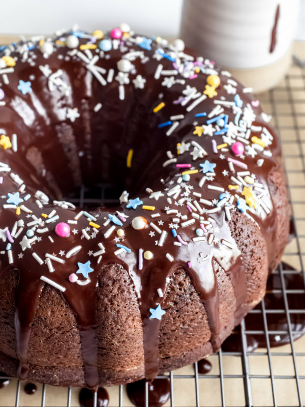 chocolate pudding fudge cake with sprinkles