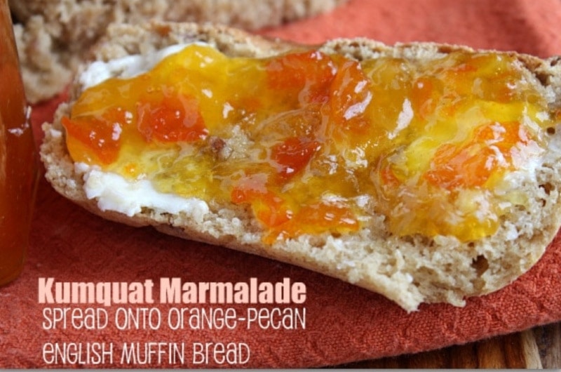 kumquat marmalade on slice of bread