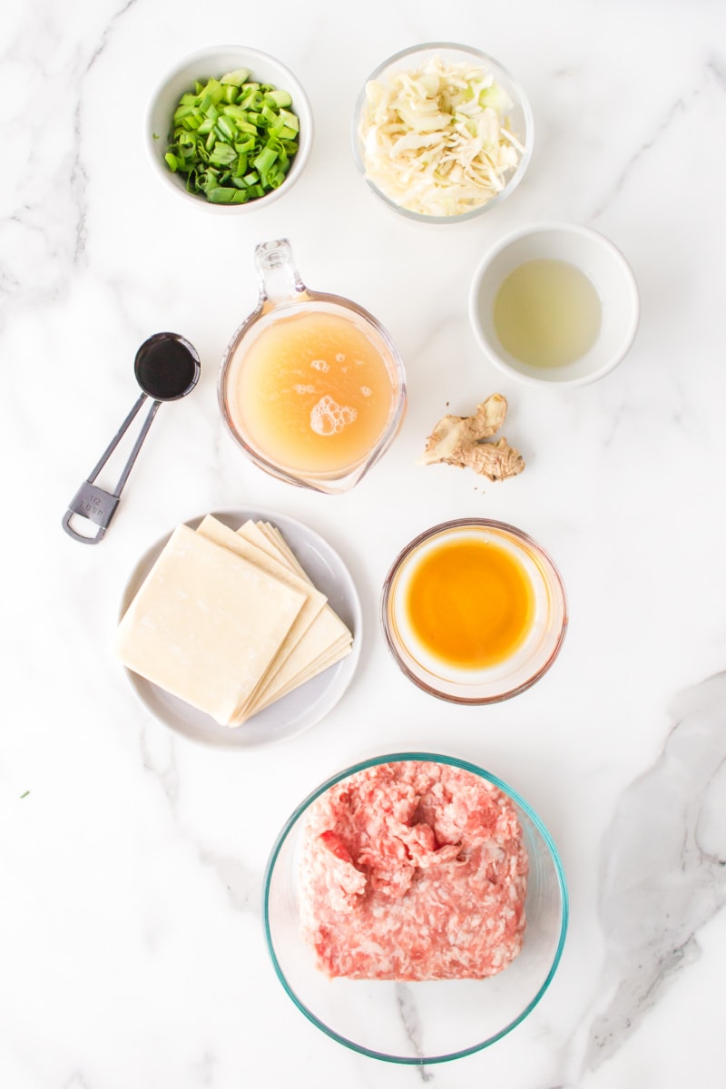 ingredients displayed for making wonton soup