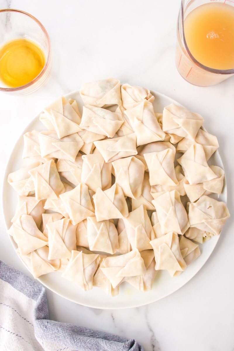wrapped wonton on a plate to add to soup