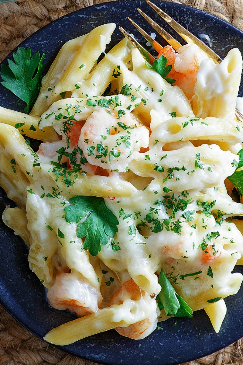 Serving of Creamy Gruyere and Shrimp Pasta