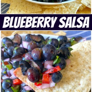 pinterest collage image for blueberry salsa