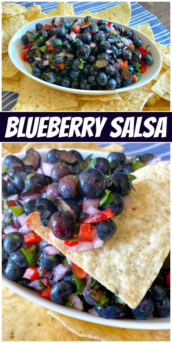 Blueberry Salsa Recipe Girl