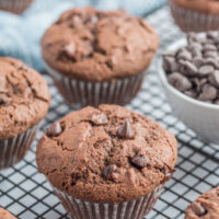 chocolate muffins