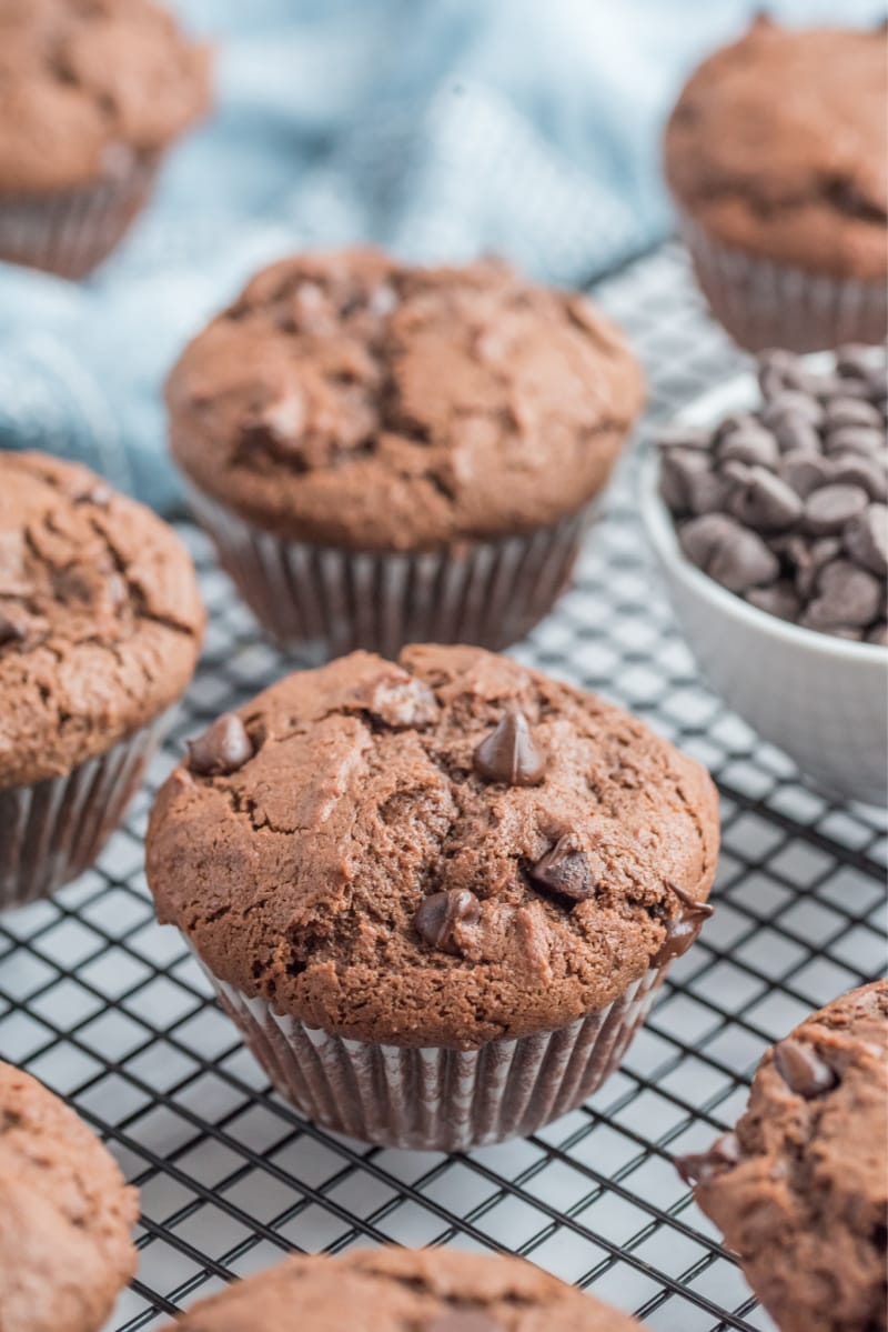 chocolate muffins