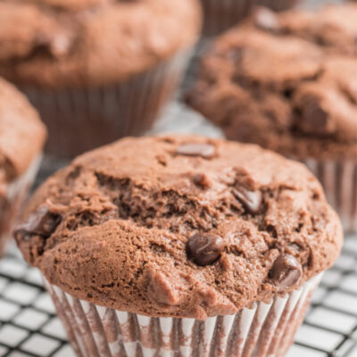 chocolate muffins