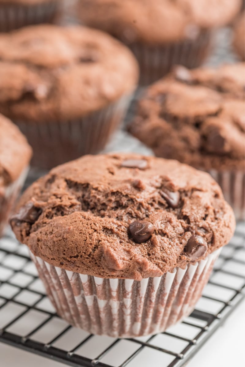 chocolate muffins