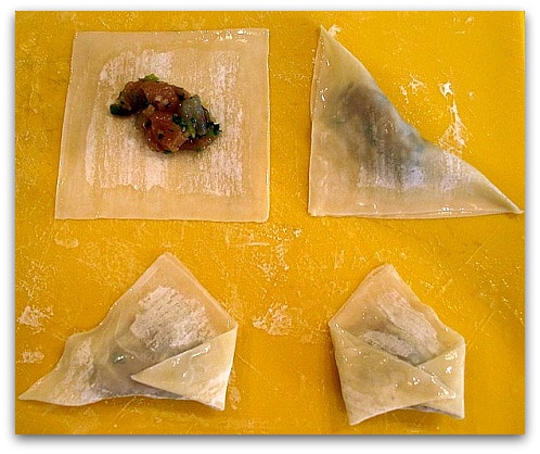 How to Wrap Won Tons