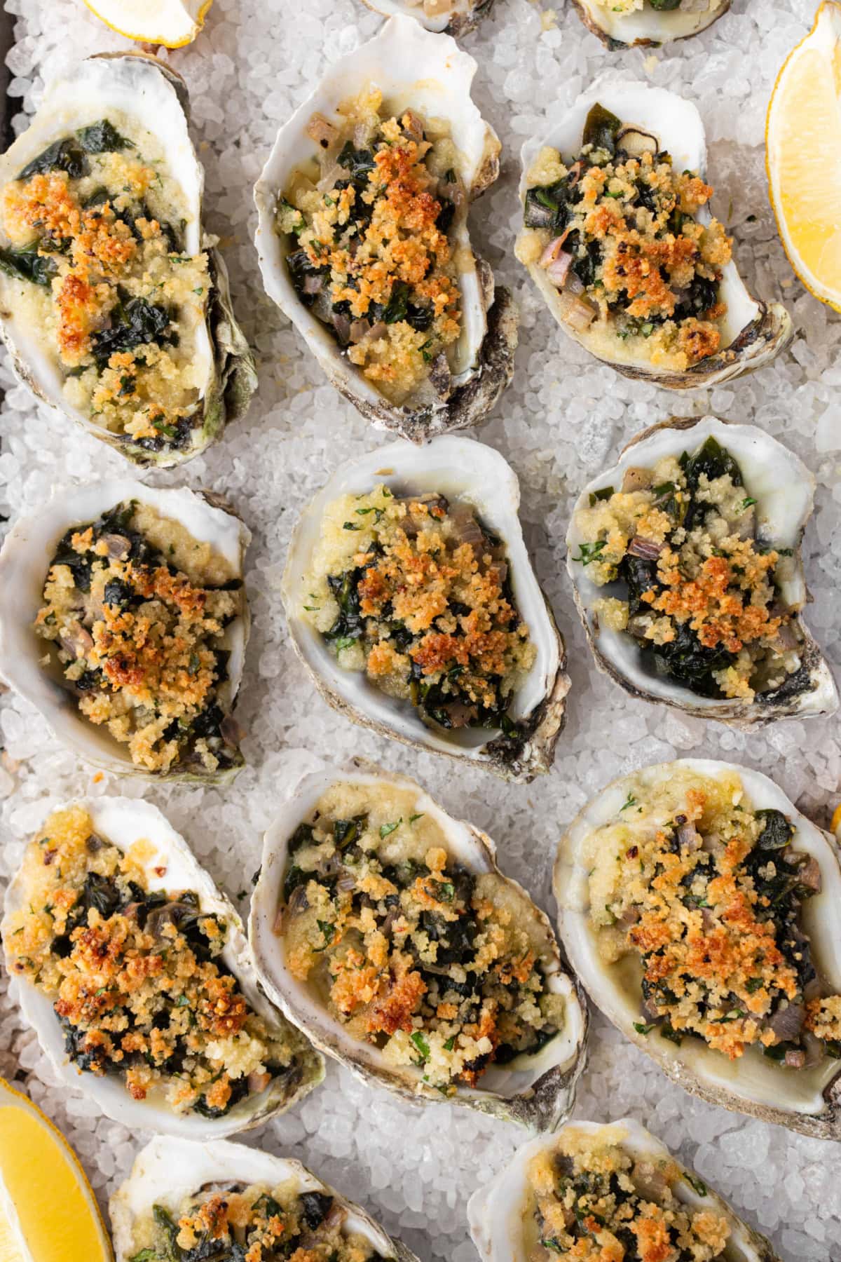 How to Make Oysters Rockefeller : an easy appetizer for a dinner party or happy hour : recipe from RecipeGirl.com how to make oysters rockefeller displayed on rock salt