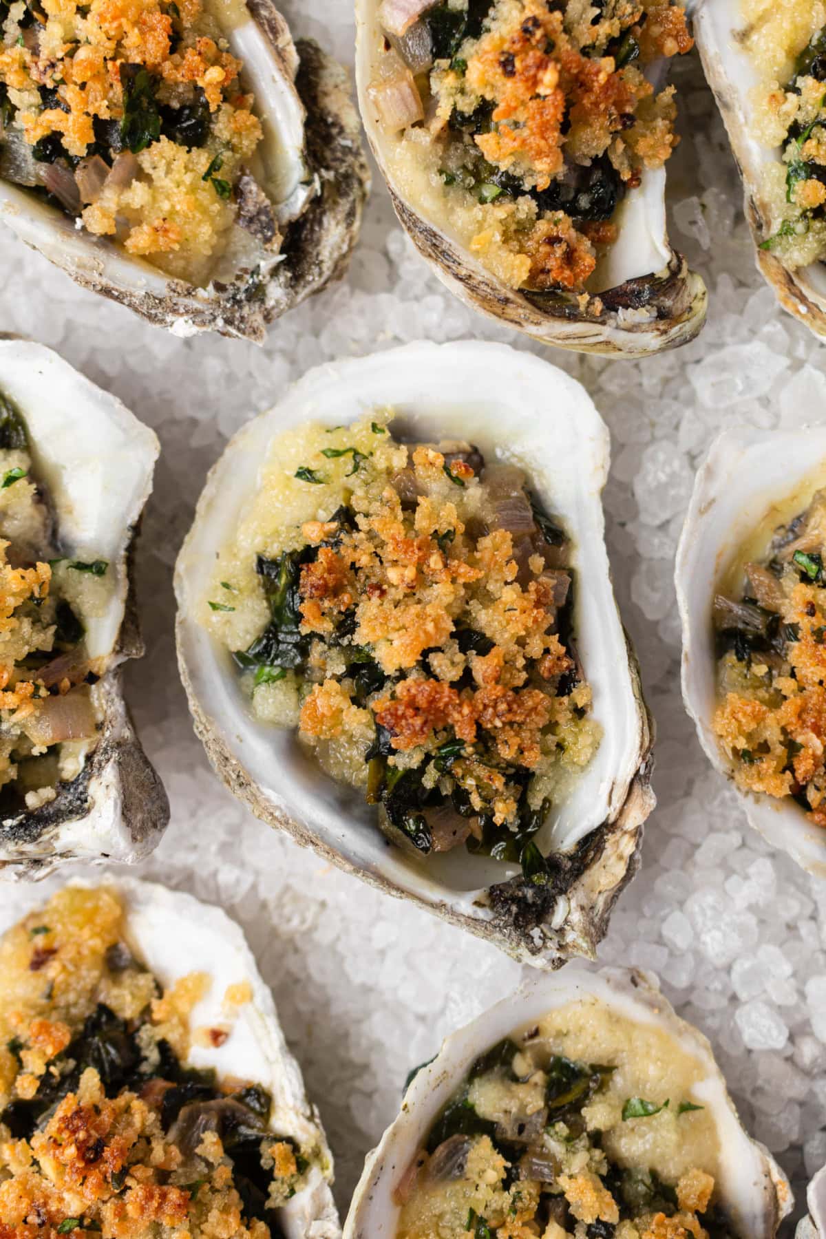 How to Make Oysters Rockefeller : an easy appetizer for a dinner party or happy hour : recipe from RecipeGirl.com oysters rockefeller displayed on rock salt