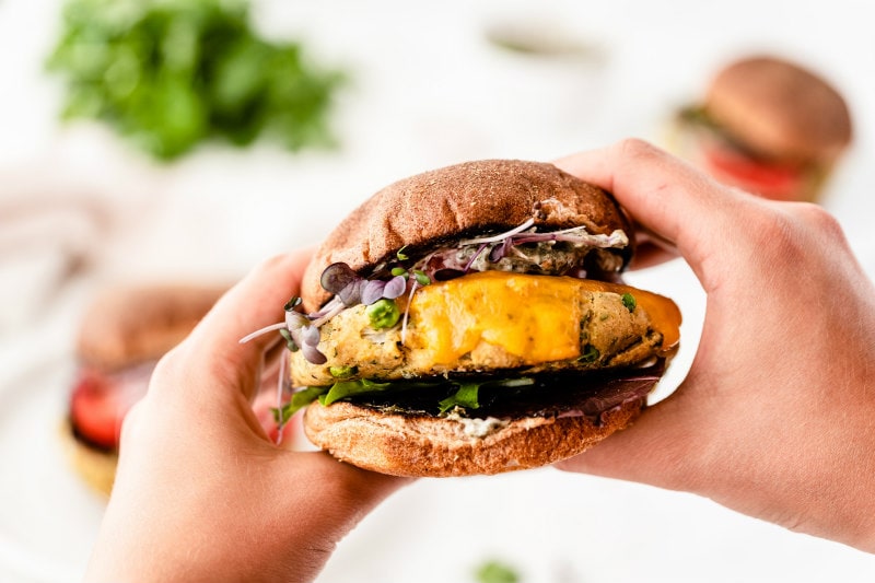 two hands holding veggie burger