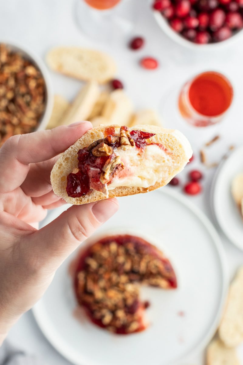 hand holding baguette slice with brie and cranberry on top