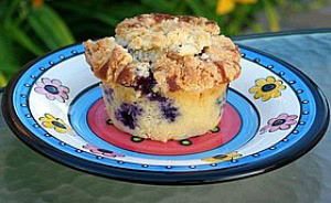 blueberry muffin sitting on a flowered plate