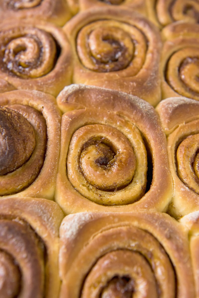 freshly baked cinnamon rolls