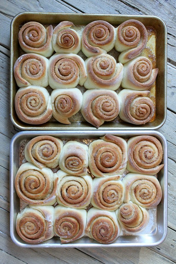 Old Fashioned Cinnamon Rolls Recipe Girl