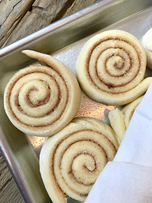 Old Fashioned Cinnamon Rolls Recipe Girl