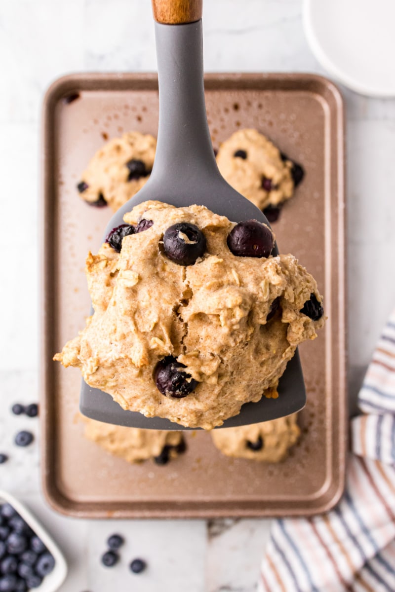spatula holding whole grain blueberry biscuit