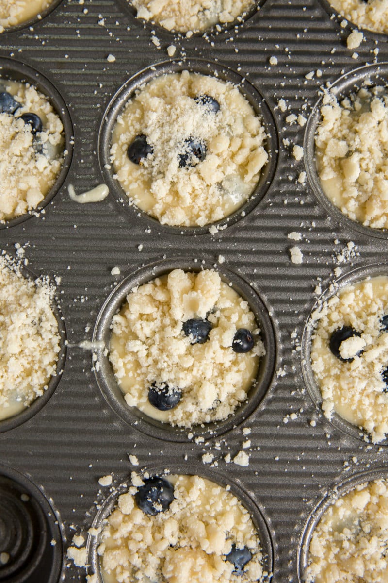 overhead shot of blueberry muffin batter filled muffin tin