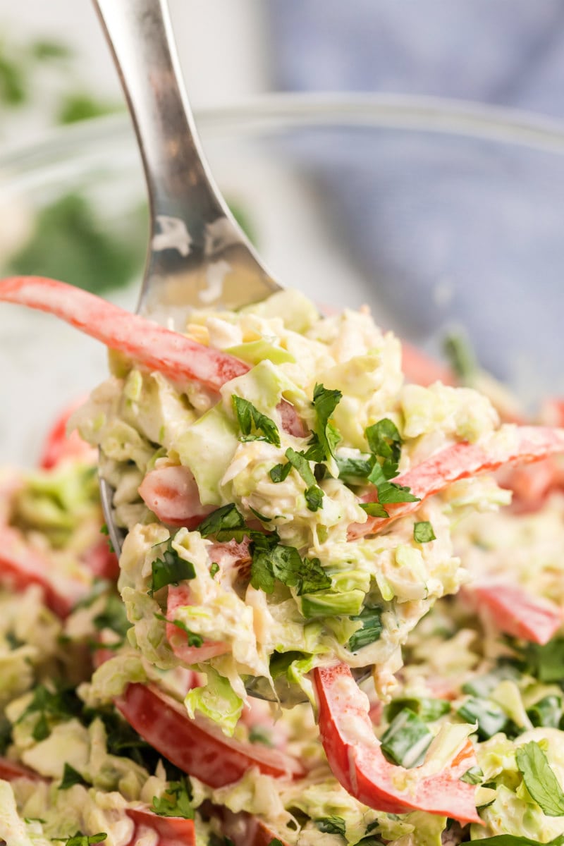 fork of Mexican coleslaw