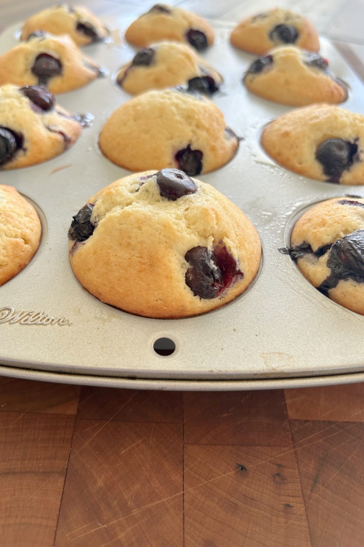old fashioned blueberry muffins in a muffin tin