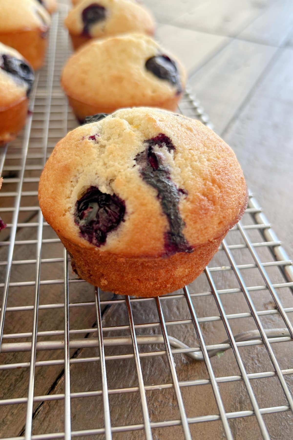 blueberry muffin on rack