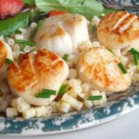 Seared Scallops with Lemon Orzo