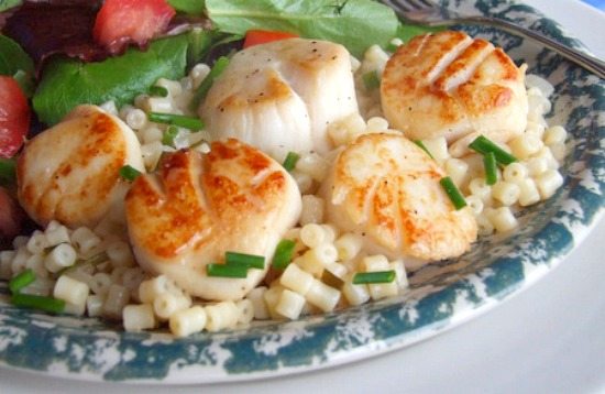 Seared Scallops with Lemon Orzo on a plate