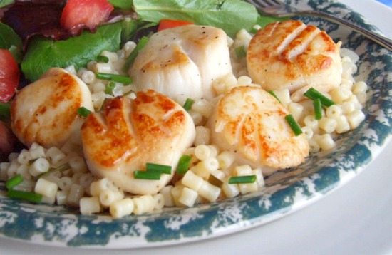 seared scallops with lemon orzo