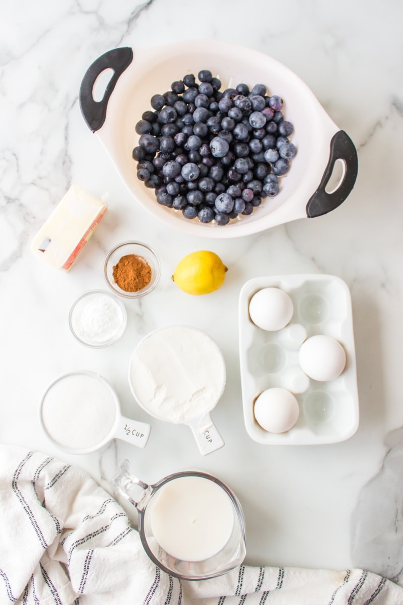 ingredients displayed for making blueberriest muffins