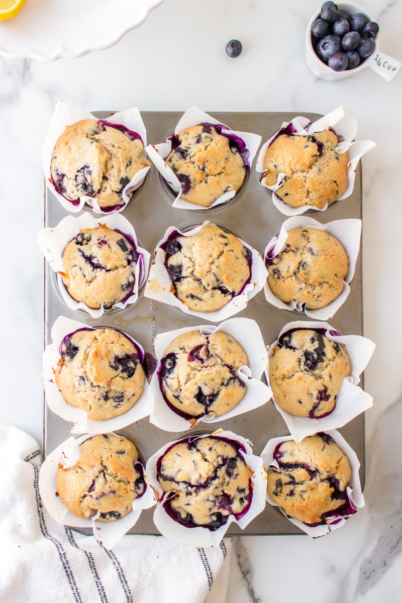 blueberriest muffins just baked in pan