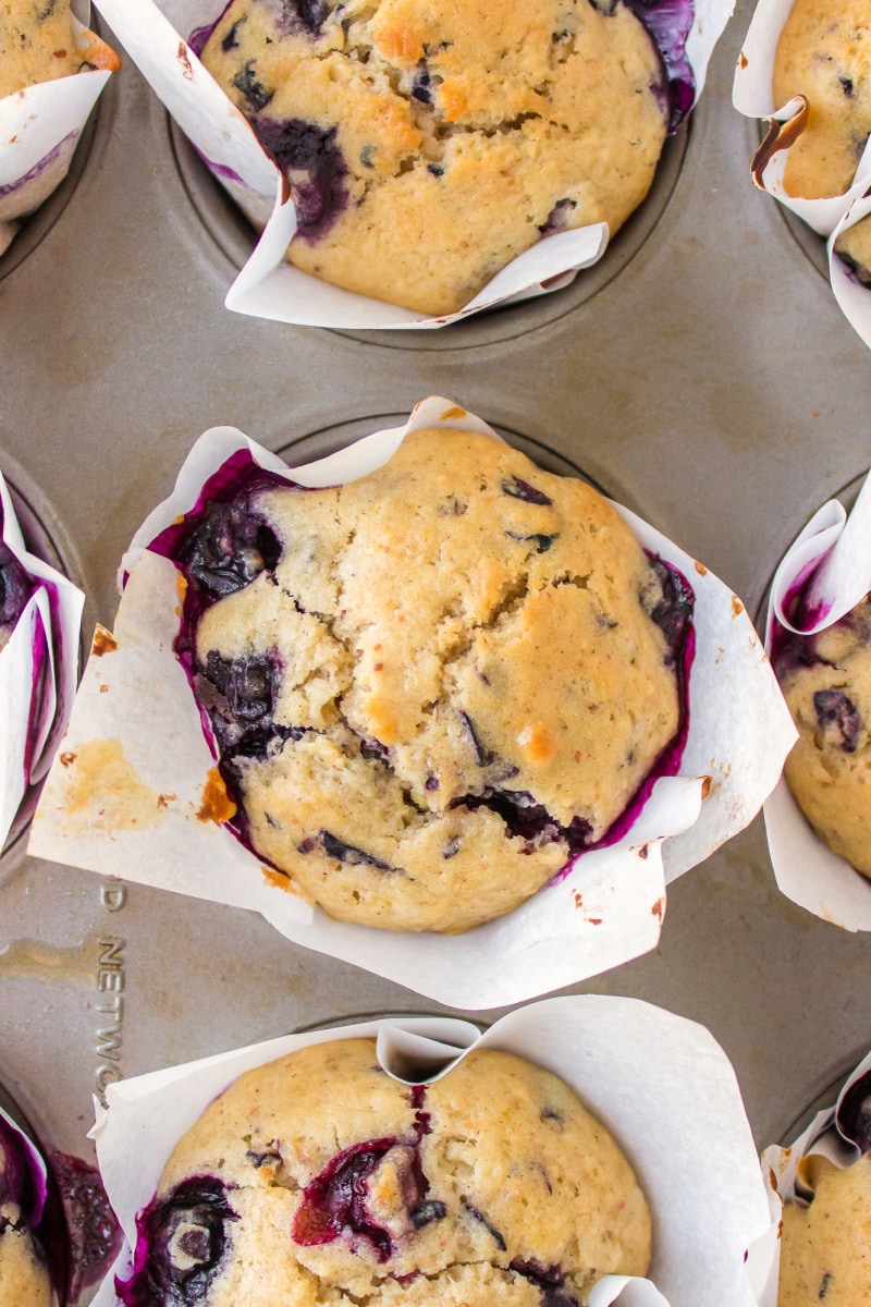 blueberry muffins in a muffin tin