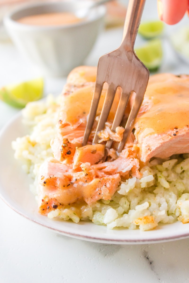 fork into salmon