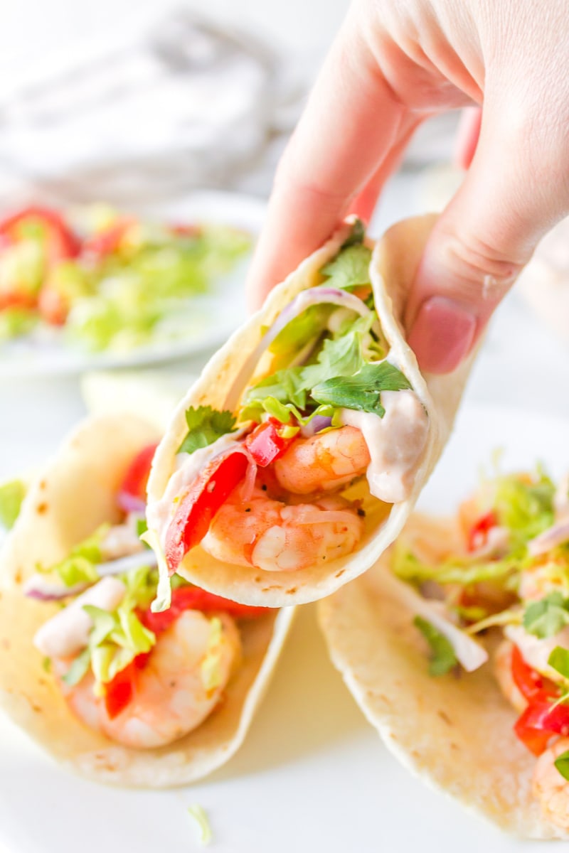 hand holding a shrimp taco