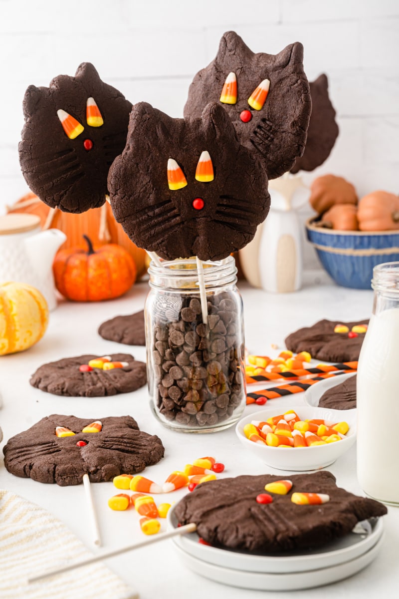 three black cat cookies stuck in jars