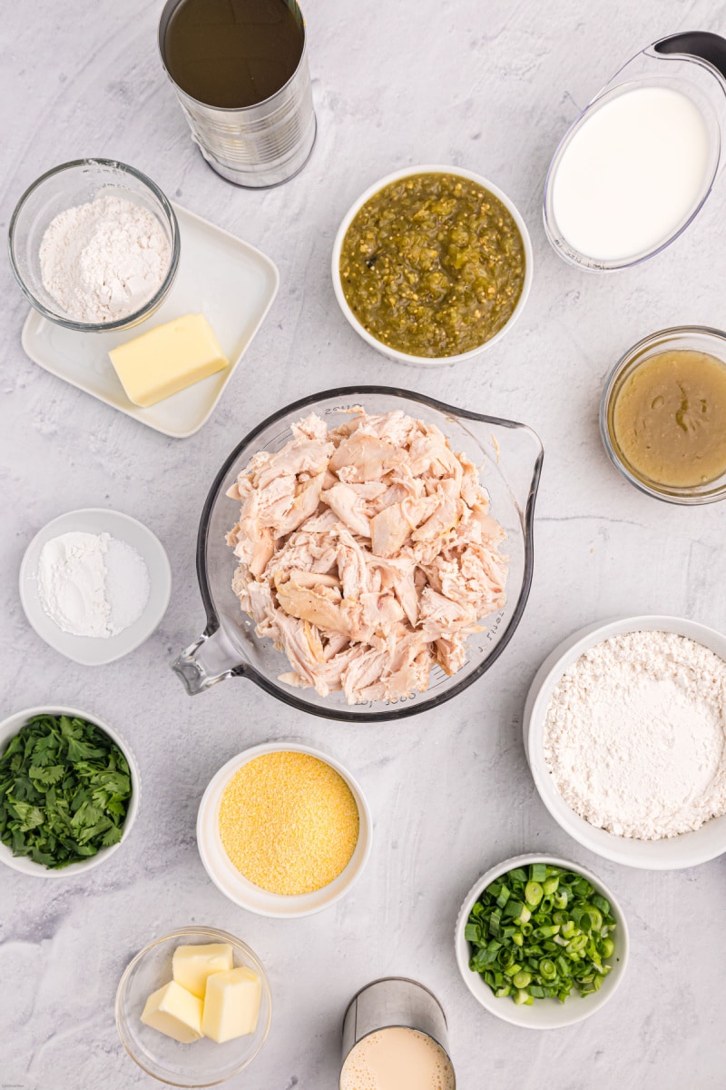 ingredients displayed for making chicken salsa verde