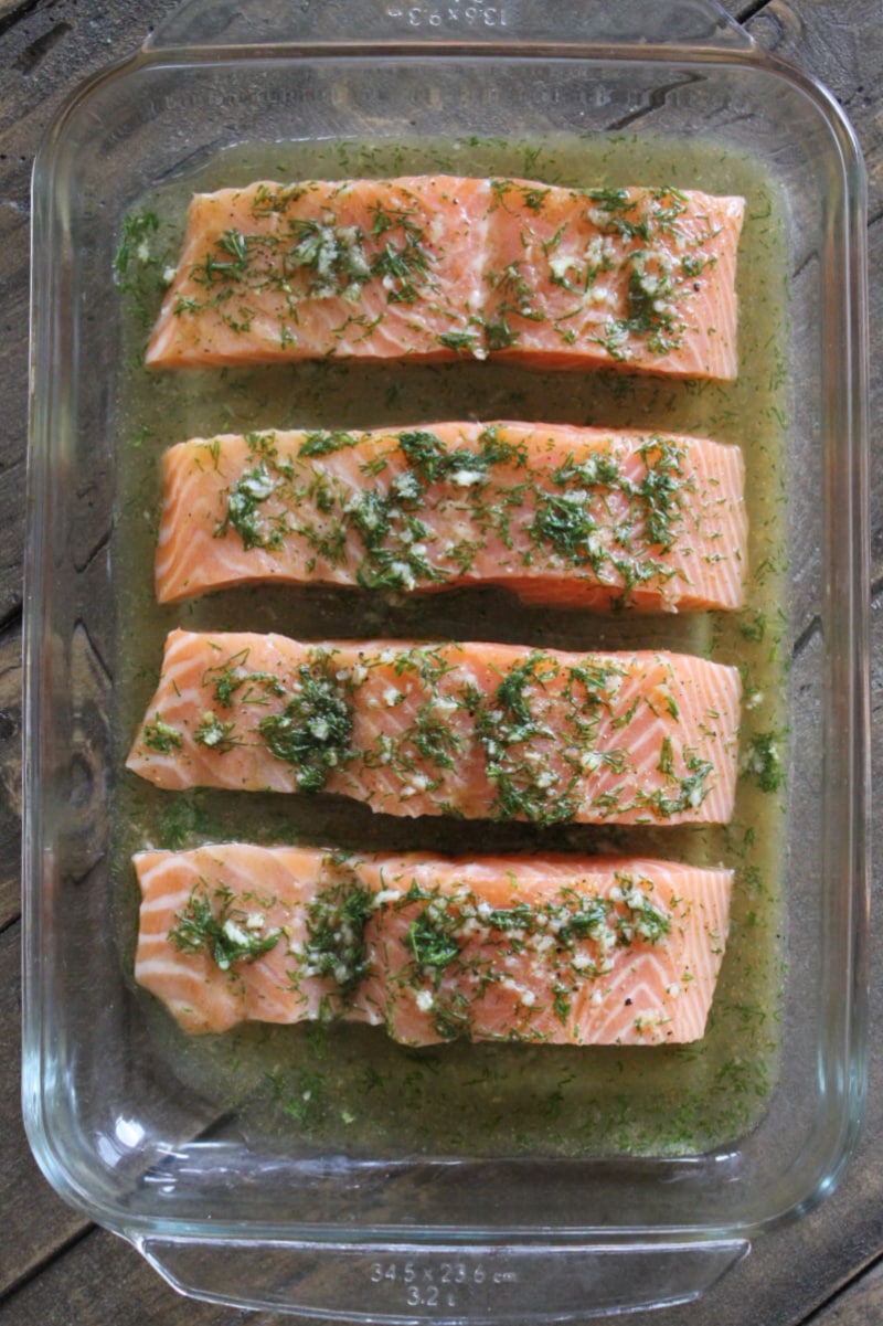 lemon dill marinating salmon in pan