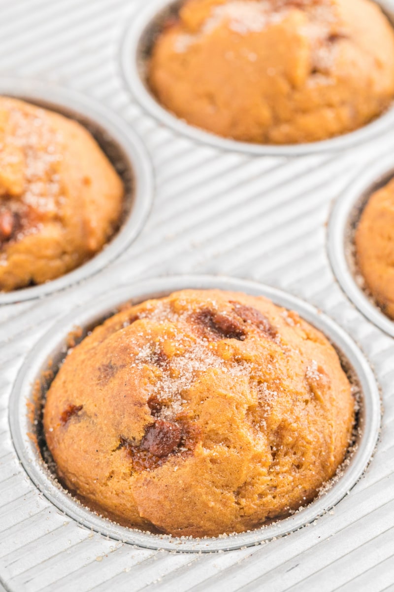 pumpkin cinnamon chip muffins in a baking pan