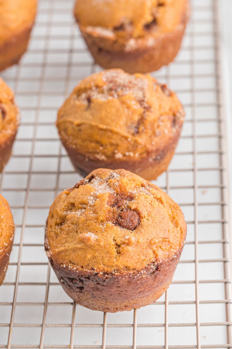 pumpkin cinnamon chip muffins on a cooling rack