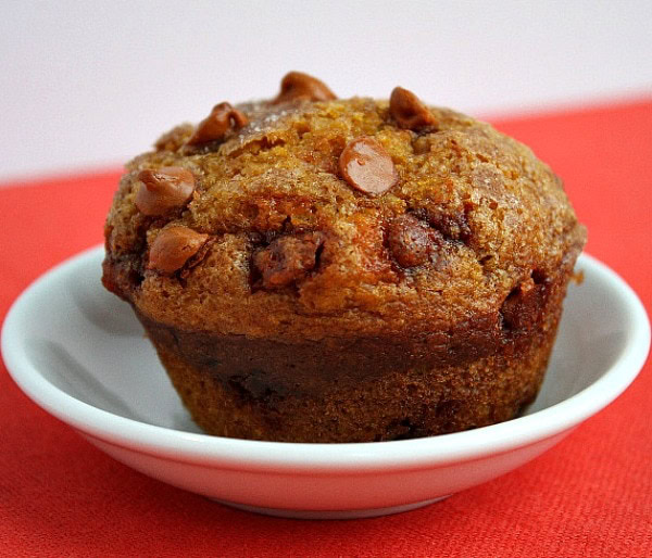 pumpkin cinnamon chip muffin sitting in a white dish