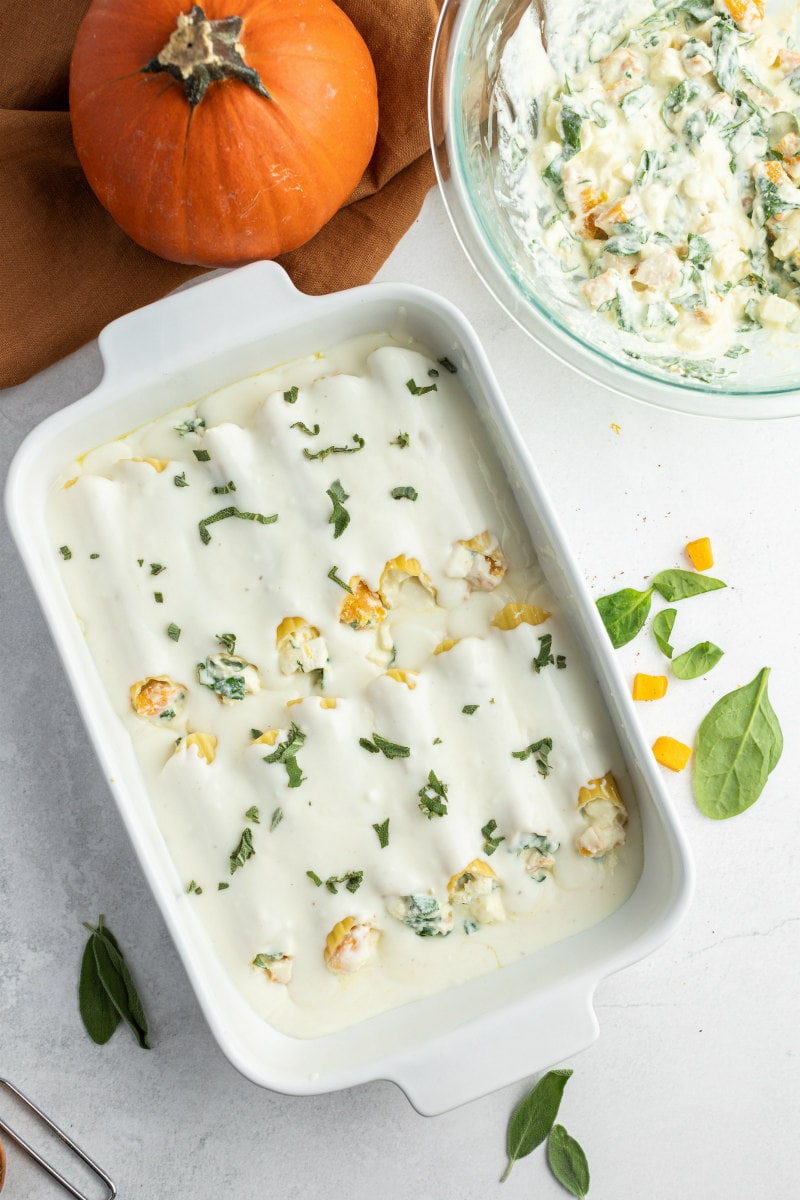 pumpkin manicotti with bechamel sauce ready for oven