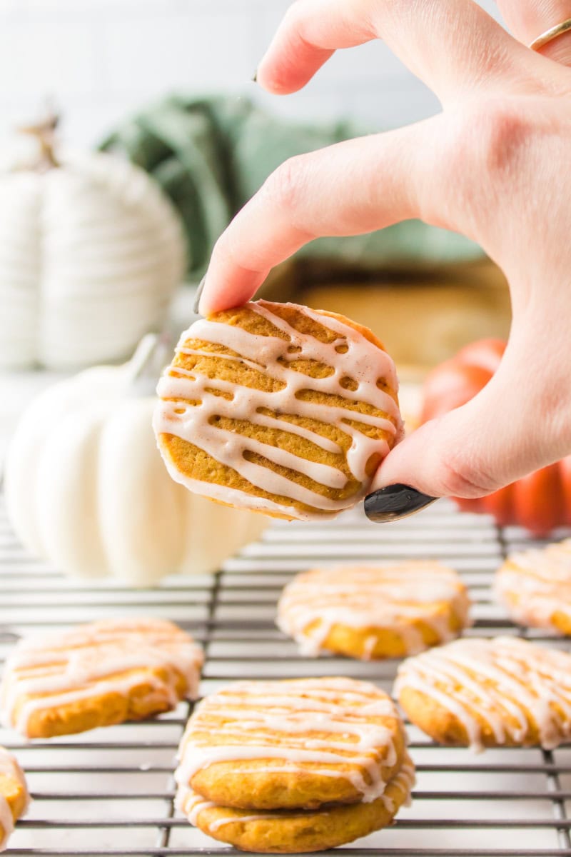 hand picking up pumpkin shortbread cookie