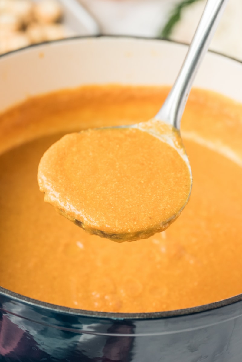 ladle full of pumpkin soup in pot